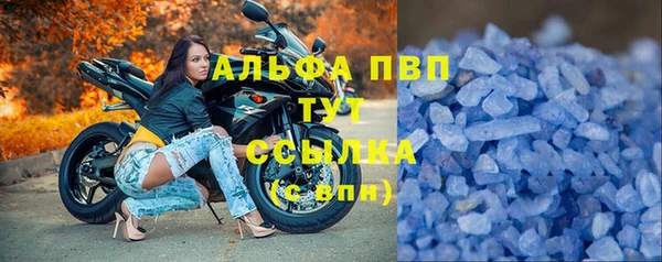 ПСИЛОЦИБИНОВЫЕ ГРИБЫ Белокуриха