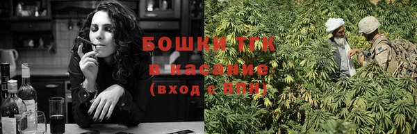 ПСИЛОЦИБИНОВЫЕ ГРИБЫ Белокуриха